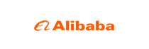 Alibaba data analysis report